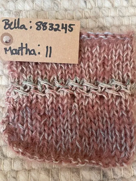 Hovedbilde Anemone genser. Garnpakke.