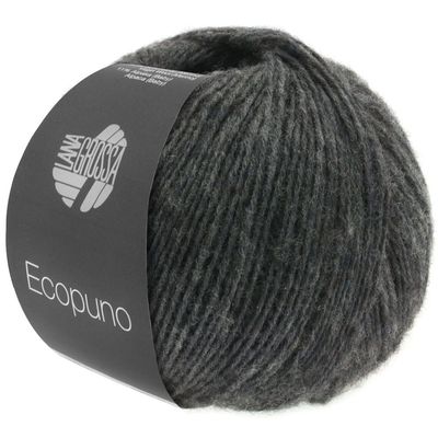 Ecopuno. 