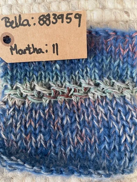 Hovedbilde Anemone genser. Garnpakke.